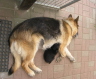 Nele 10 Wochen