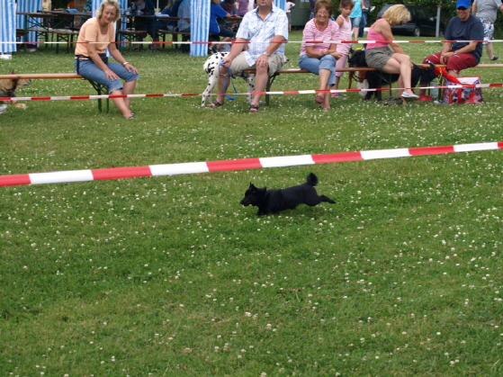 Nele Hunderennen