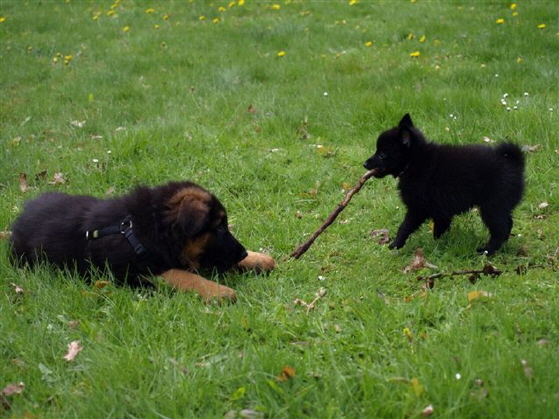 Nele und Melodie